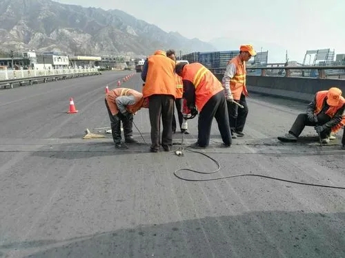 连云港道路桥梁病害治理